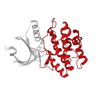 The deposited structure of PDB entry 2io6 contains 1 copy of CATH domain 1.10.510.10 (Transferase(Phosphotransferase); domain 1) in Wee1-like protein kinase. Showing 1 copy in chain A.