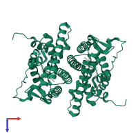 Estrogen receptor in PDB entry 2iog, assembly 1, top view.