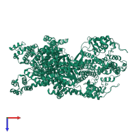Homo dimeric assembly 2 of PDB entry 2ipc coloured by chemically distinct molecules, top view.