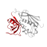 The deposited structure of PDB entry 2ipk contains 1 copy of CATH domain 2.40.50.110 (OB fold (Dihydrolipoamide Acetyltransferase, E2P)) in Enterotoxin type C-3. Showing 1 copy in chain D.