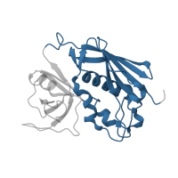 The deposited structure of PDB entry 2ipk contains 1 copy of CATH domain 3.10.20.120 (Ubiquitin-like (UB roll)) in Enterotoxin type C-3. Showing 1 copy in chain D.