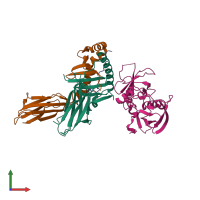 PDB entry 2ipk coloured by chain, front view.