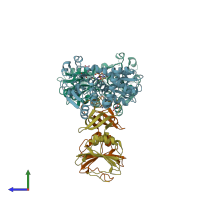 PDB entry 2ipo coloured by chain, side view.