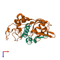 PDB entry 2ipp coloured by chain, top view.