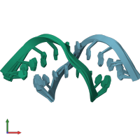 PDB entry 2irn coloured by chain, ensemble of 15 models, front view.
