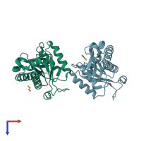 PDB entry 2irp coloured by chain, top view.