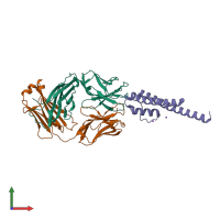 PDB entry 2itc coloured by chain, front view.