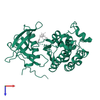 Epidermal growth factor receptor in PDB entry 2itv, assembly 1, top view.