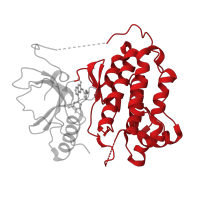 The deposited structure of PDB entry 2ity contains 1 copy of CATH domain 1.10.510.10 (Transferase(Phosphotransferase); domain 1) in Epidermal growth factor receptor. Showing 1 copy in chain A.