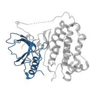 The deposited structure of PDB entry 2ity contains 1 copy of CATH domain 3.30.200.20 (Phosphorylase Kinase; domain 1) in Epidermal growth factor receptor. Showing 1 copy in chain A.
