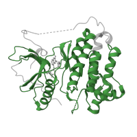 The deposited structure of PDB entry 2ity contains 1 copy of Pfam domain PF07714 (Protein tyrosine and serine/threonine kinase) in Epidermal growth factor receptor. Showing 1 copy in chain A.