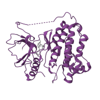 The deposited structure of PDB entry 2ity contains 1 copy of SCOP domain 88854 (Protein kinases, catalytic subunit) in Epidermal growth factor receptor. Showing 1 copy in chain A.