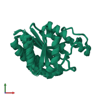 PDB entry 2iue coloured by chain, ensemble of 20 models, front view.