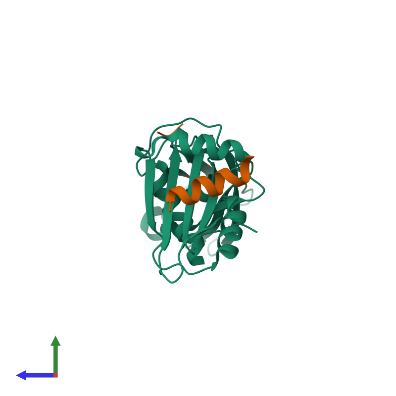 <div class='caption-body'><ul class ='image_legend_ul'> Trimeric assembly 1 of PDB entry 2iv8 coloured by chemically distinct molecules and viewed from the side. This assembly contains:<li class ='image_legend_li'>One copy of AP-2 COMPLEX SUBUNIT BETA-1</li><li class ='image_legend_li'>2 copies of BETA-ARRESTIN-1</li></ul></div>