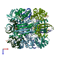PDB entry 2ivg coloured by chain, top view.