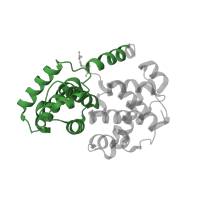The deposited structure of PDB entry 2iw8 contains 2 copies of Pfam domain PF00134 (Cyclin, N-terminal domain) in Cyclin-A2. Showing 1 copy in chain B.