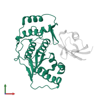 Sentrin-specific protease 1 in PDB entry 2iy1, assembly 1, front view.