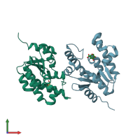 PDB entry 2iyr coloured by chain, front view.