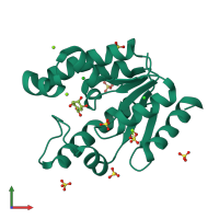 PDB entry 2iyx coloured by chain, front view.