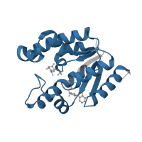 The deposited structure of PDB entry 2iyz contains 1 copy of Pfam domain PF01202 (Shikimate kinase) in Shikimate kinase. Showing 1 copy in chain A.