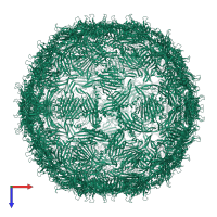 Capsid protein in PDB entry 2iz9, assembly 1, top view.