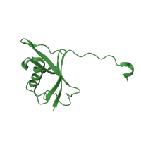 The deposited structure of PDB entry 2izv contains 1 copy of SCOP domain 54237 (Ubiquitin-related) in Elongin-B. Showing 1 copy in chain B.