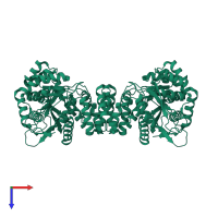 Thymidine phosphorylase in PDB entry 2j0f, assembly 2, top view.