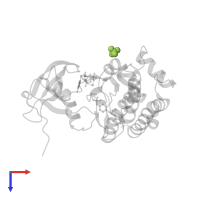 SULFATE ION in PDB entry 2j0l, assembly 1, top view.
