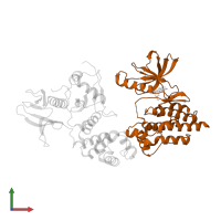 Focal adhesion kinase 1 in PDB entry 2j0m, assembly 1, front view.