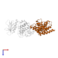 Focal adhesion kinase 1 in PDB entry 2j0m, assembly 1, top view.