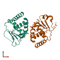 PDB entry 2j16 coloured by chain, front view.