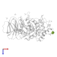 2-acetamido-2-deoxy-beta-D-glucopyranose in PDB entry 2j25, assembly 1, top view.