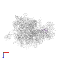 Large ribosomal subunit protein uL16 in PDB entry 2j28, assembly 1, top view.
