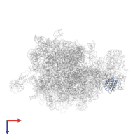 Large ribosomal subunit protein uL18 in PDB entry 2j28, assembly 1, top view.