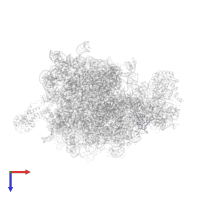 Large ribosomal subunit protein bL27 in PDB entry 2j28, assembly 1, top view.