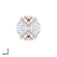 ACE-ASP-GLU-VAL-ASP-CHLOROMETHYLKETONE INHIBITOR in PDB entry 2j30, assembly 1, side view.