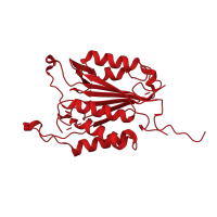 The deposited structure of PDB entry 2j33 contains 1 copy of CATH domain 3.40.50.1460 (Rossmann fold) in Caspase-3 subunit p17. Showing 1 copy in chain A.