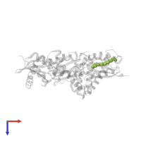 PALMITIC ACID in PDB entry 2j3w, assembly 1, top view.