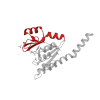 The deposited structure of PDB entry 2j41 contains 4 copies of CATH domain 3.30.63.10 (Guanylate Kinase phosphate binding domain) in Guanylate kinase. Showing 1 copy in chain D.