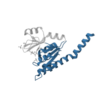 The deposited structure of PDB entry 2j41 contains 4 copies of CATH domain 3.40.50.300 (Rossmann fold) in Guanylate kinase. Showing 1 copy in chain D.