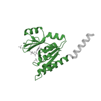 The deposited structure of PDB entry 2j41 contains 4 copies of Pfam domain PF00625 (Guanylate kinase) in Guanylate kinase. Showing 1 copy in chain D.