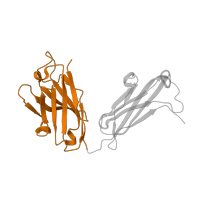 The deposited structure of PDB entry 2j4w contains 1 copy of SCOP domain 48727 (V set domains (antibody variable domain-like)) in Ig-like domain-containing protein. Showing 1 copy in chain B [auth H].