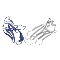 The deposited structure of PDB entry 2j4w contains 1 copy of Pfam domain PF07686 (Immunoglobulin V-set domain) in Ig-like domain-containing protein. Showing 1 copy in chain C [auth L].