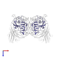 Methylamine dehydrogenase light chain in PDB entry 2j57, assembly 1, top view.