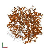 Hydroxycinnamoyl-CoA hydratase-lyase in PDB entry 2j5i, assembly 2, front view.