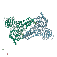 PDB entry 2j62 coloured by chain, front view.