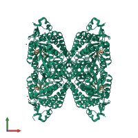 Homo tetrameric assembly 1 of PDB entry 2j6l coloured by chemically distinct molecules, front view.