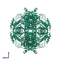 Homo tetrameric assembly 1 of PDB entry 2j6l coloured by chemically distinct molecules, side view.