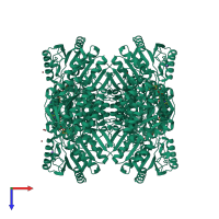 Homo tetrameric assembly 1 of PDB entry 2j6l coloured by chemically distinct molecules, top view.