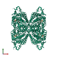 Homo tetrameric assembly 2 of PDB entry 2j6l coloured by chemically distinct molecules, front view.